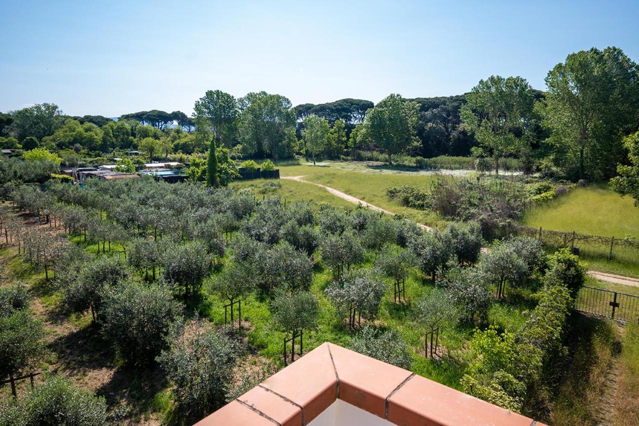 Attico Di Torsten Appartement Torre del Lago Puccini Buitenkant foto